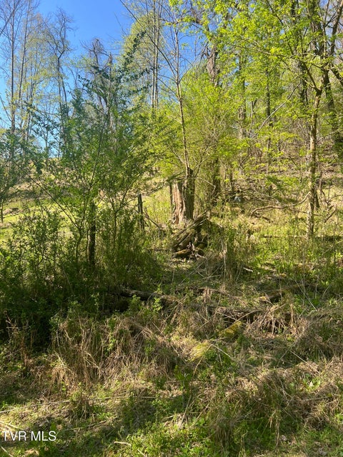 Photo #12: 0 Ball Orchard Pvt Drive