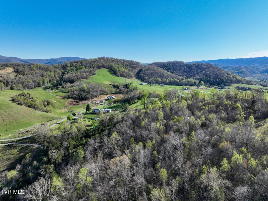 Photo #9: 2058 Siam Road