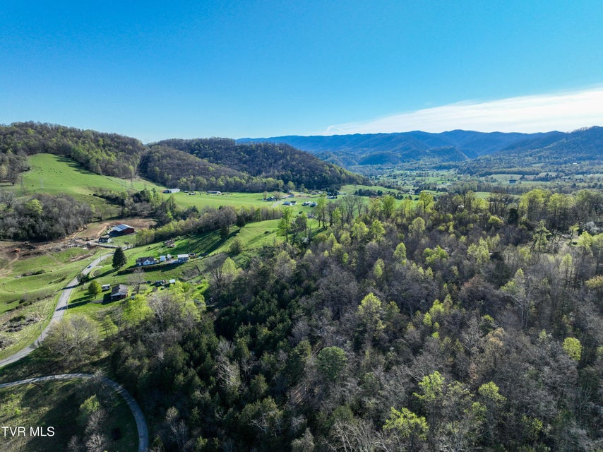 Photo #10: 2058 Siam Road