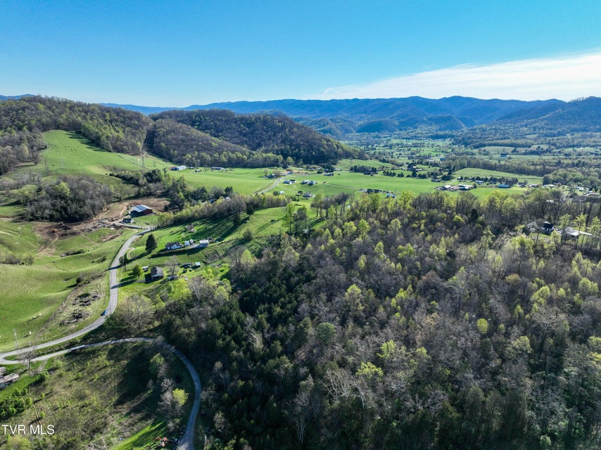 Photo #11: 2058 Siam Road