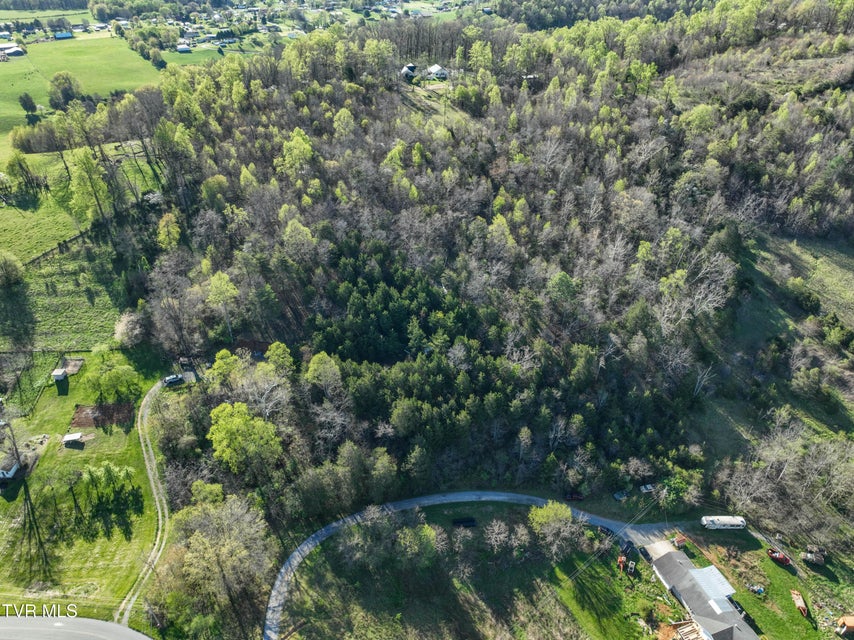 Photo #17: 2058 Siam Road