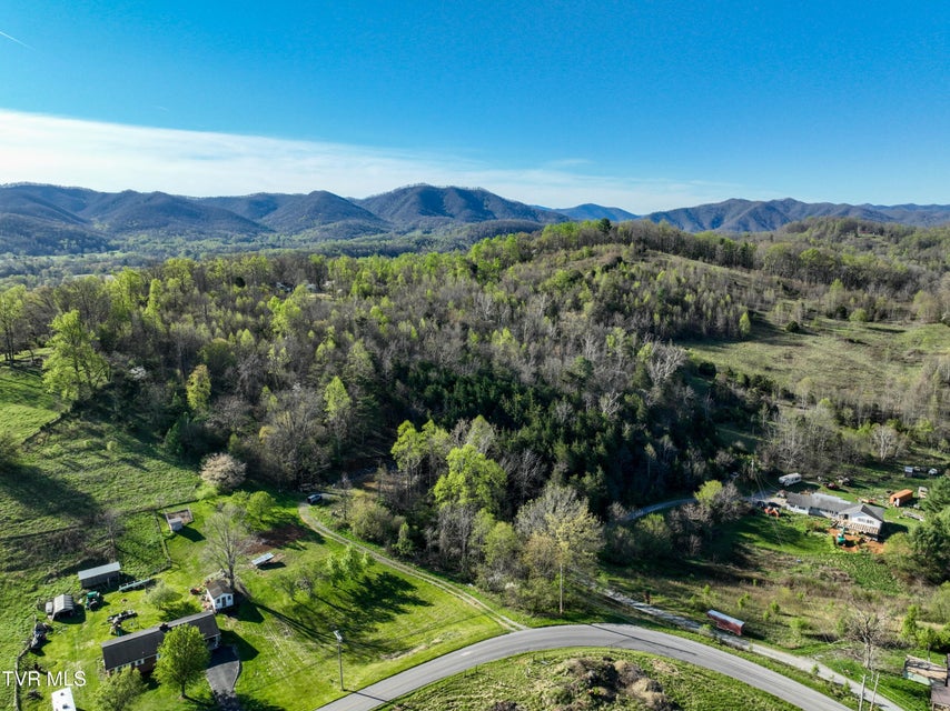 Photo #23: 2058 Siam Road