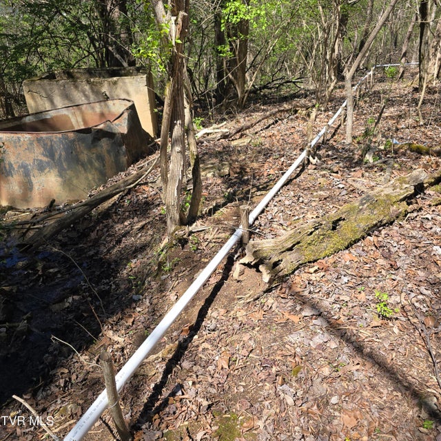 Photo #28: 2058 Siam Road