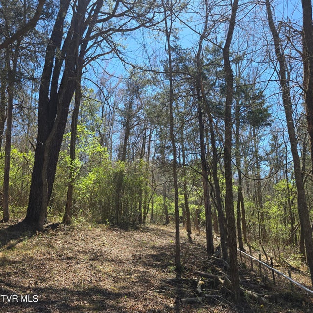 Photo #33: 2058 Siam Road