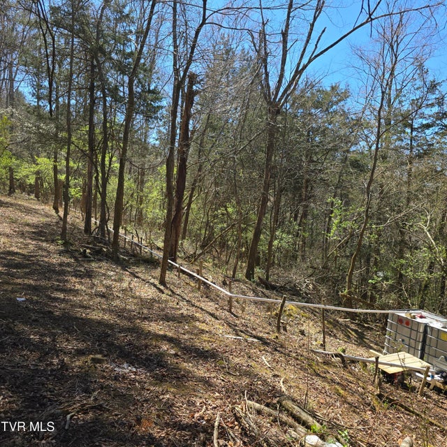 Photo #32: 2058 Siam Road