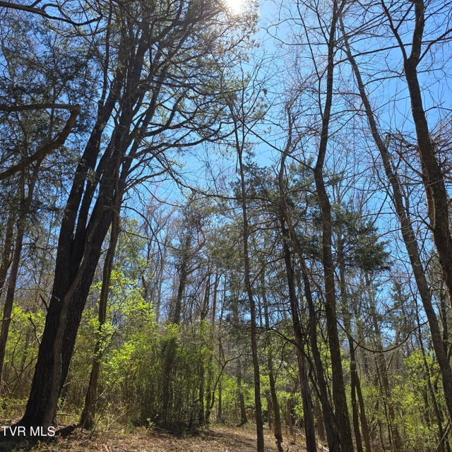 Photo #34: 2058 Siam Road