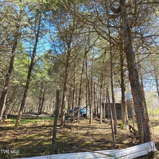 Photo #35: 2058 Siam Road