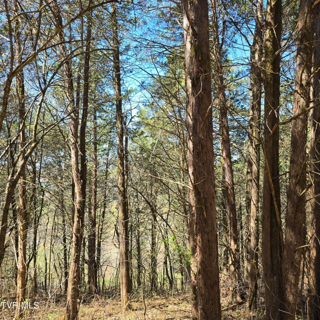 Photo #36: 2058 Siam Road