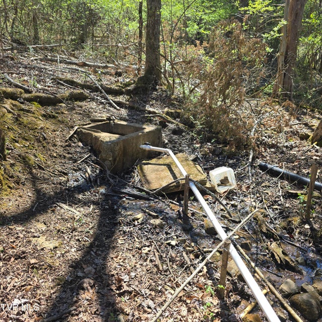 Photo #41: 2058 Siam Road