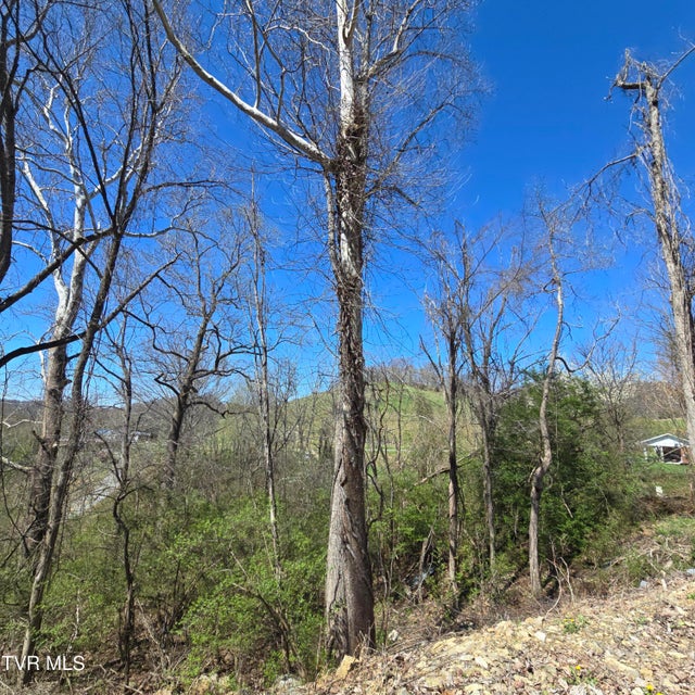 Photo #40: 2058 Siam Road