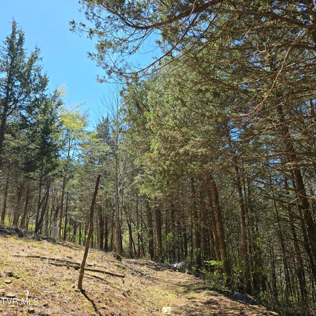 Photo #39: 2058 Siam Road