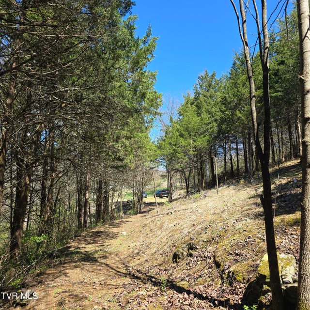 Photo #38: 2058 Siam Road