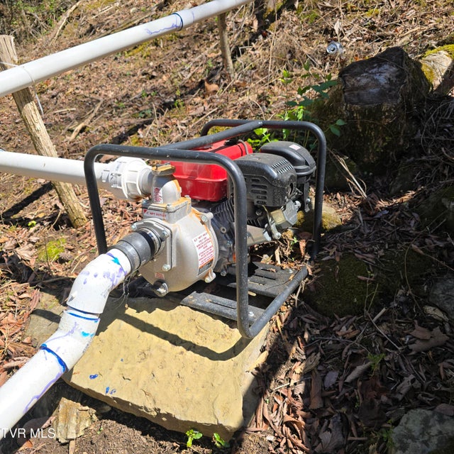 Photo #43: 2058 Siam Road