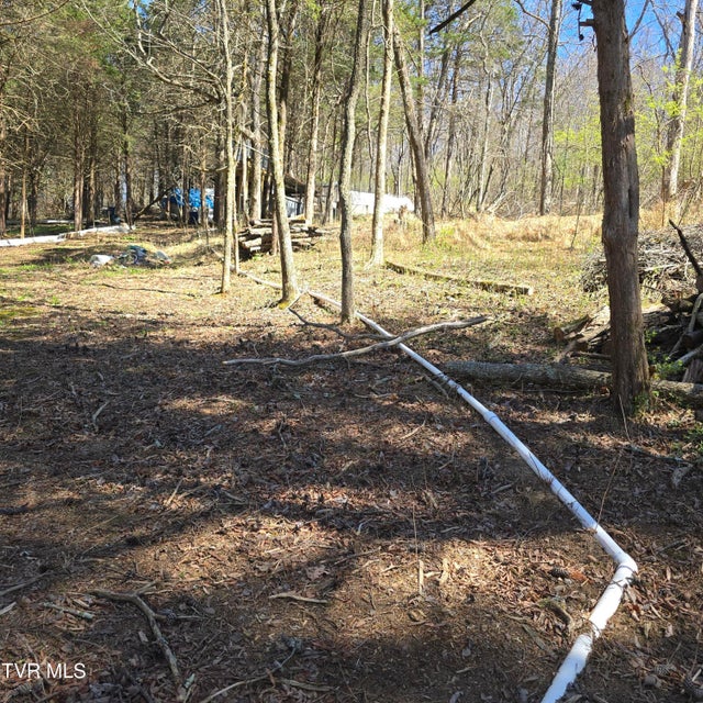 Photo #48: 2058 Siam Road