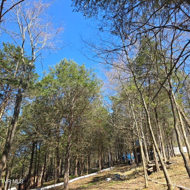 Photo #49: 2058 Siam Road