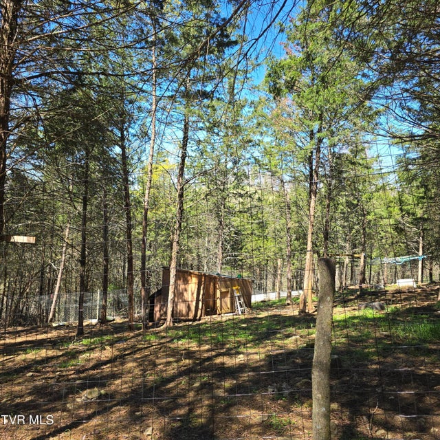 Photo #47: 2058 Siam Road