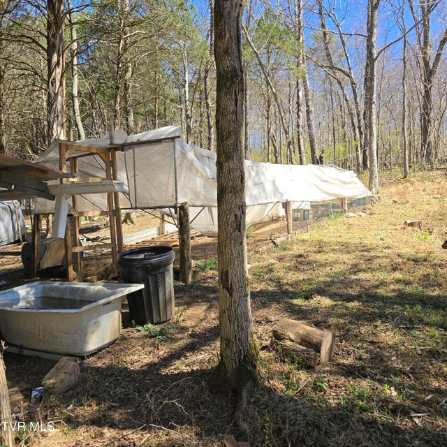 Photo #46: 2058 Siam Road