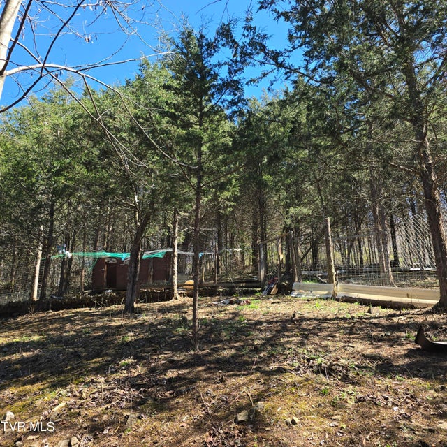 Photo #52: 2058 Siam Road