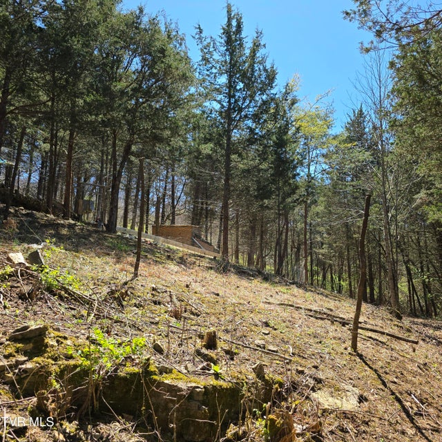 Photo #53: 2058 Siam Road