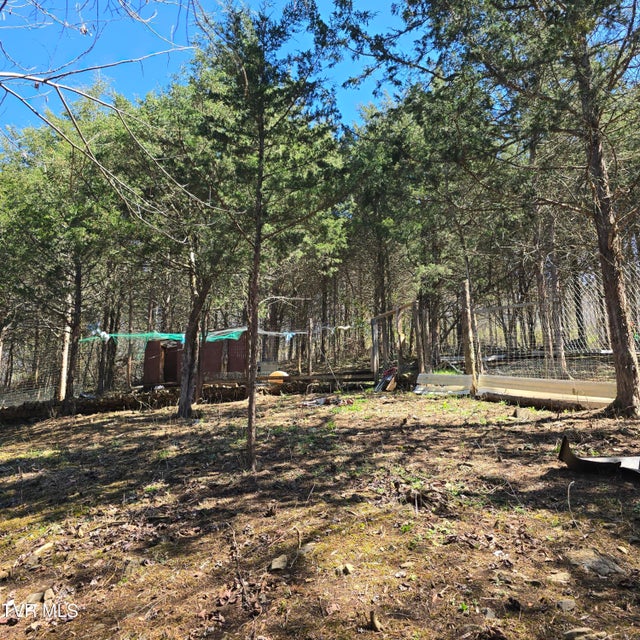 Photo #51: 2058 Siam Road