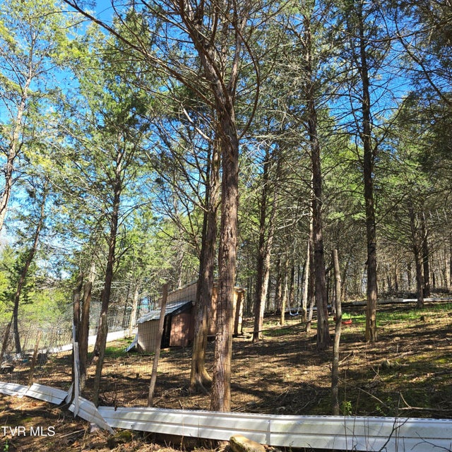 Photo #50: 2058 Siam Road