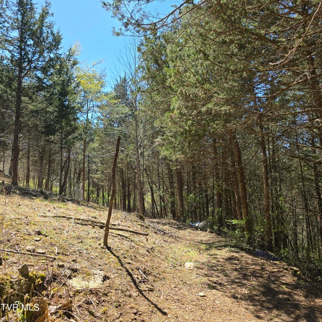 Photo #54: 2058 Siam Road