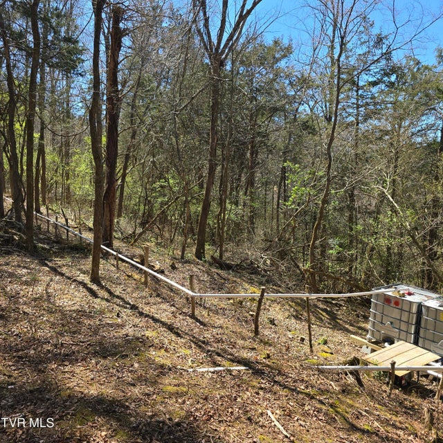 Photo #66: 2058 Siam Road