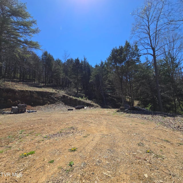 Photo #71: 2058 Siam Road