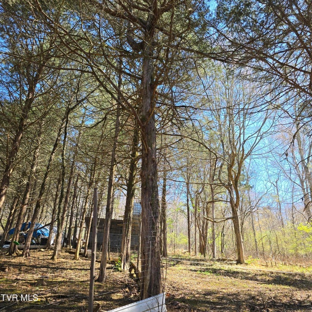 Photo #69: 2058 Siam Road