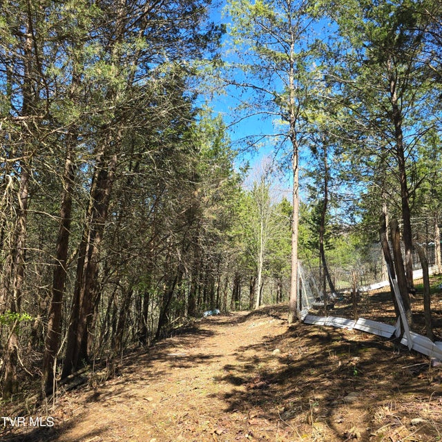 Photo #68: 2058 Siam Road