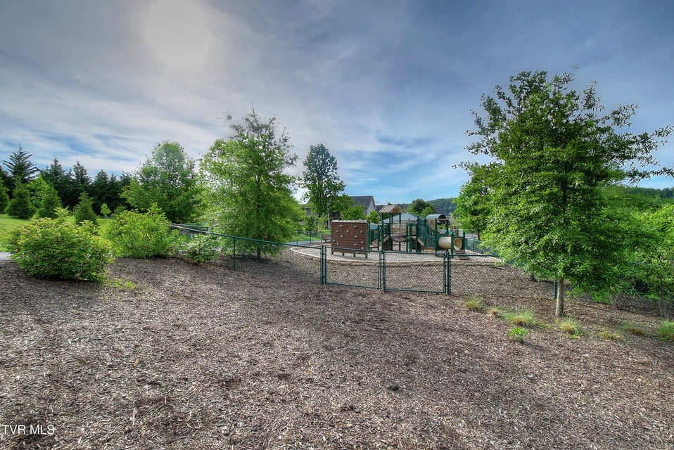 Photo #45: 309 Miss Maude Patton Lane