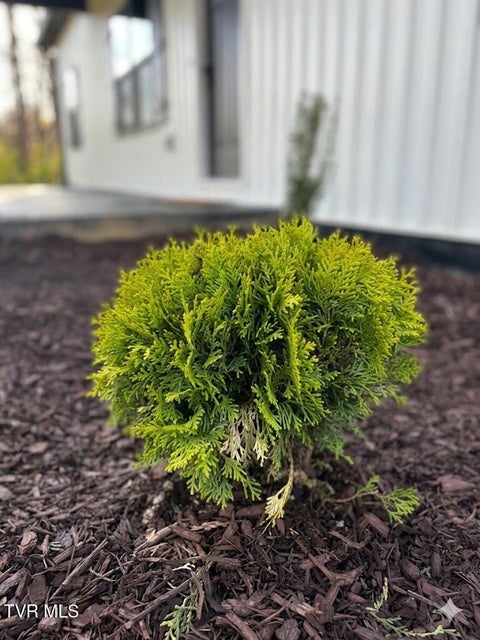 Photo #7: 148 Whitson Drive