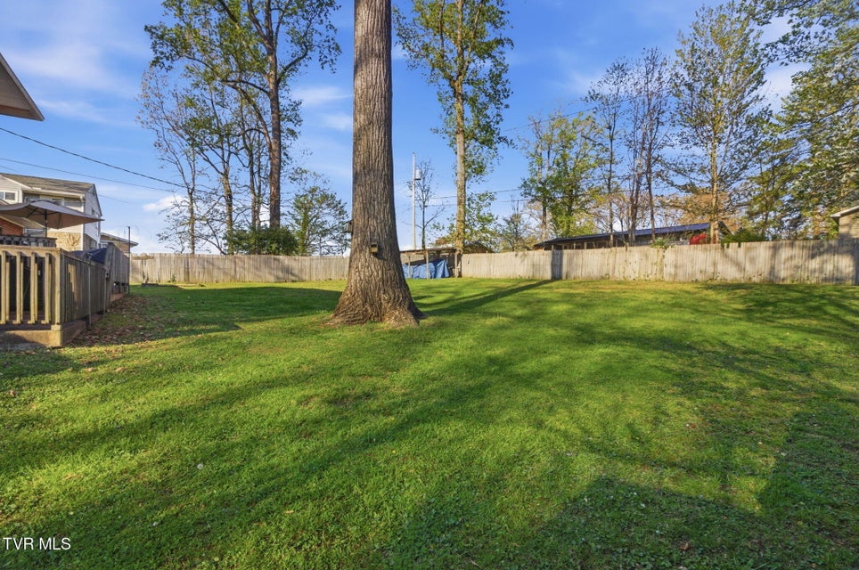 Photo #3: 209 Haynes Boulevard