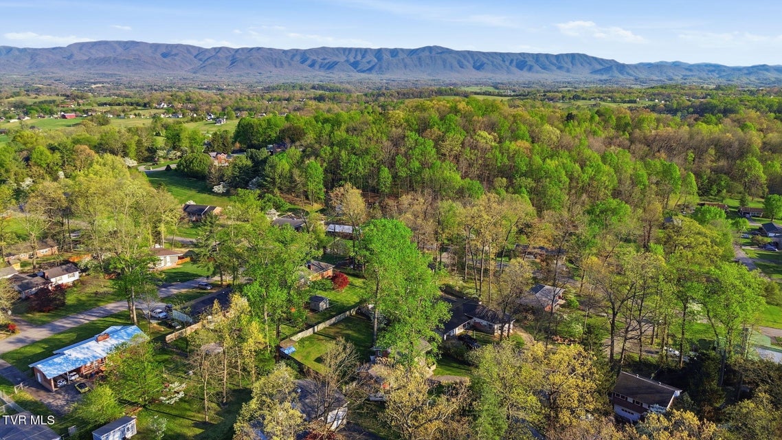 Photo #30: 209 Haynes Boulevard