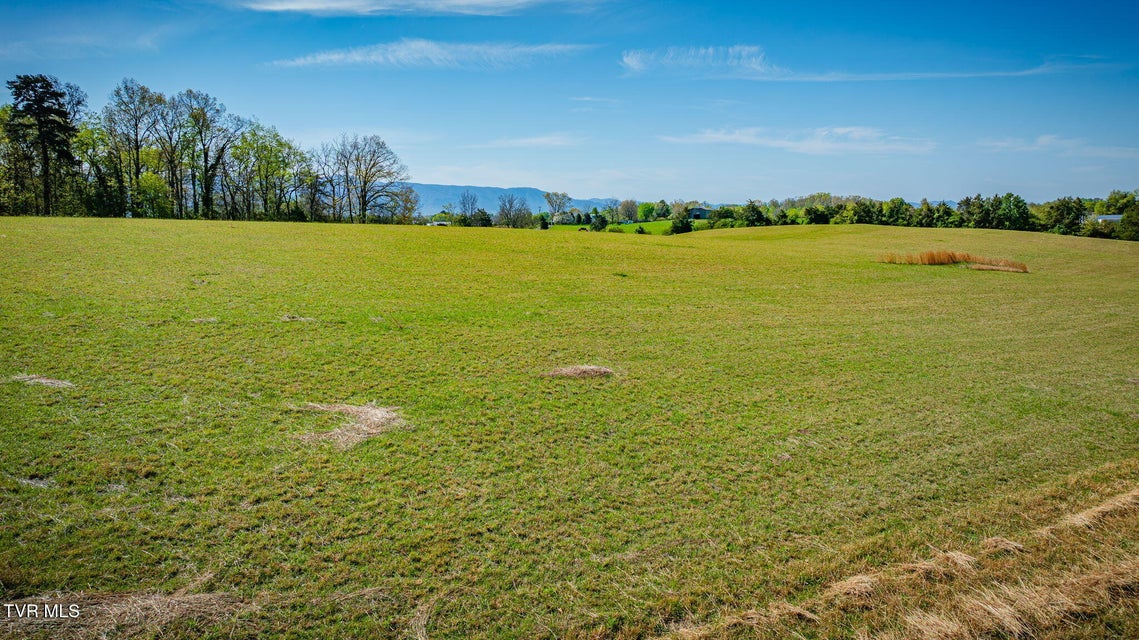 Photo #2: Lot 14 Morgan Road