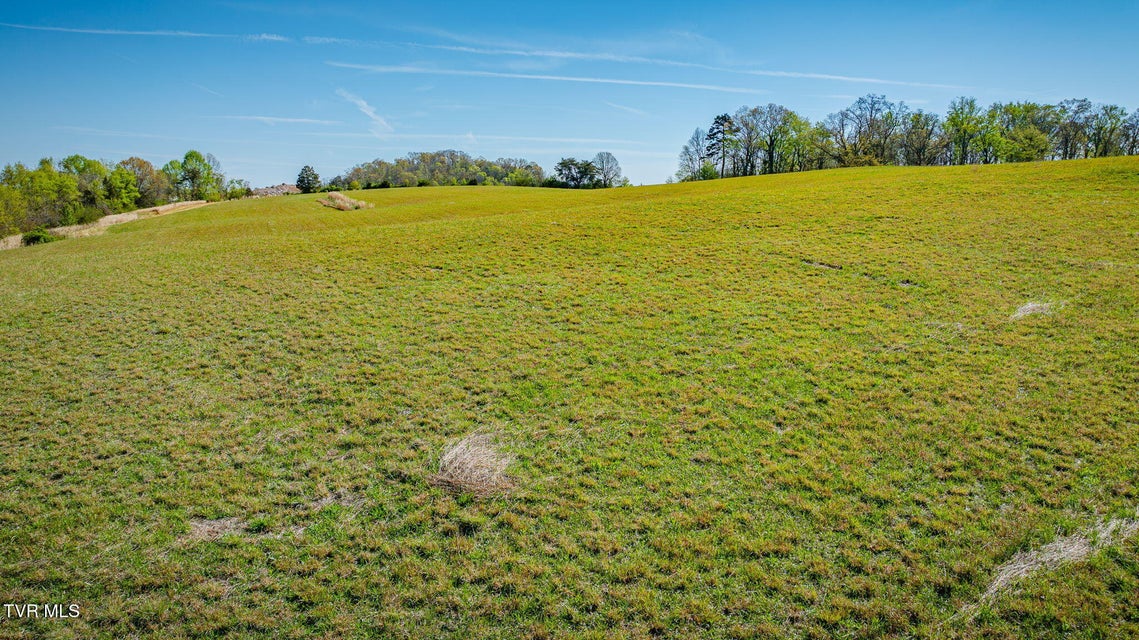 Photo #3: Lot 14 Morgan Road