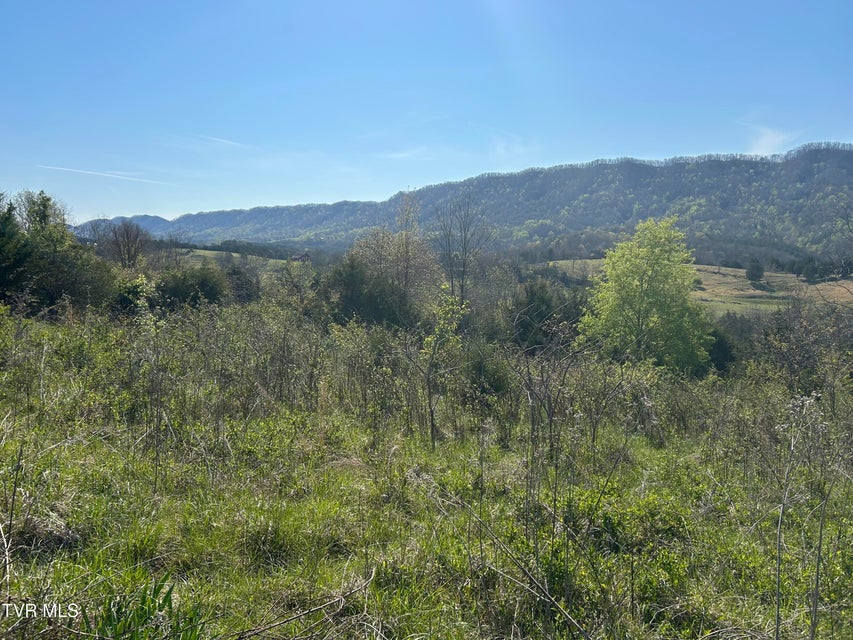 Photo #4: 2618 Rackum Road