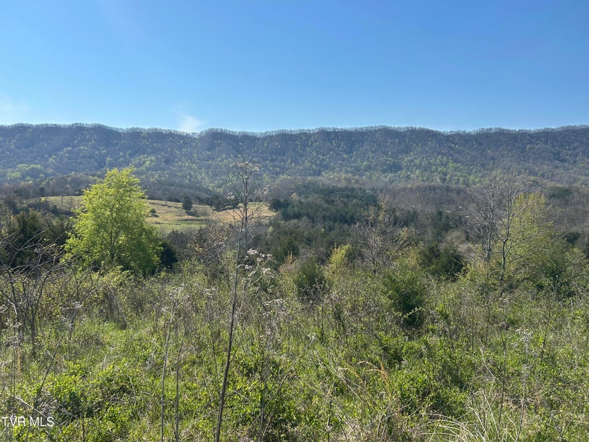 Photo #6: 2618 Rackum Road