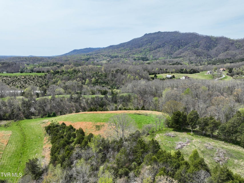 Photo #74: 18685 Horton Highway