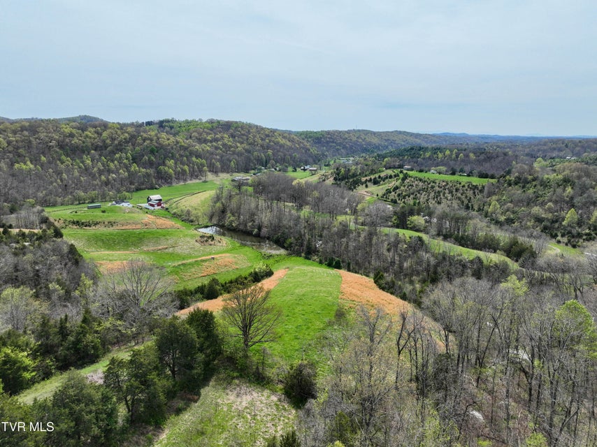 Photo #75: 18685 Horton Highway