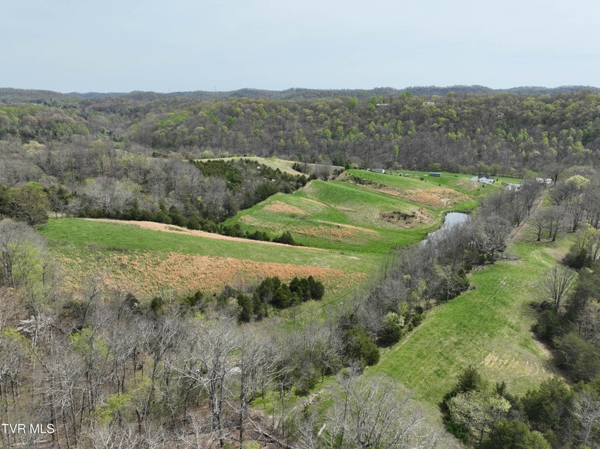 Photo #77: 18685 Horton Highway