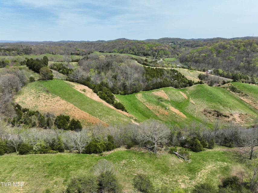 Photo #78: 18685 Horton Highway