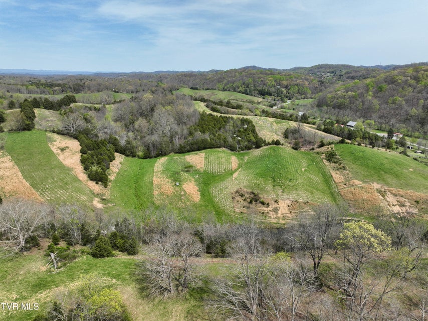 Photo #79: 18685 Horton Highway