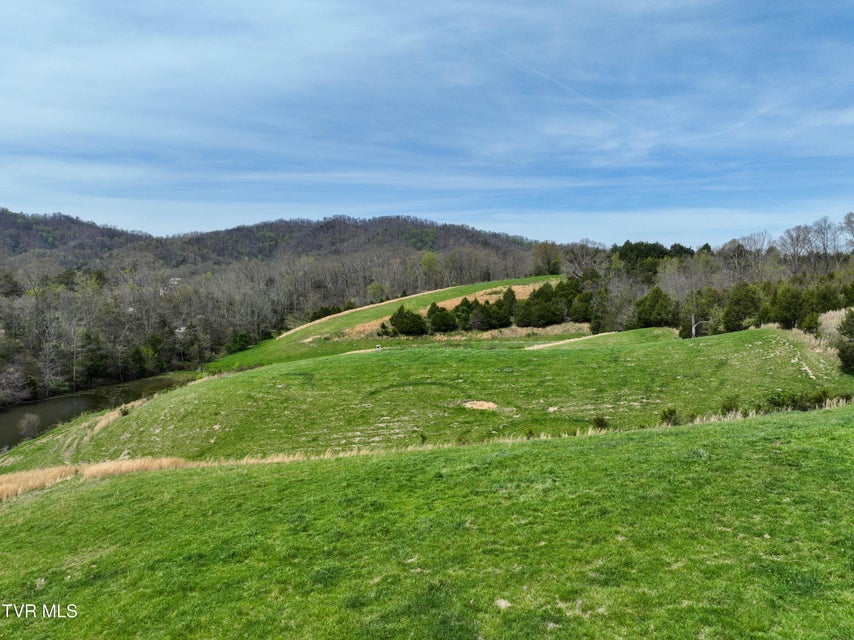 Photo #91: 18685 Horton Highway