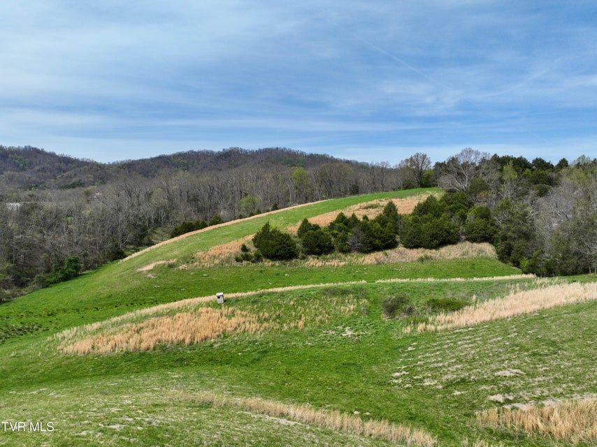 Photo #92: 18685 Horton Highway