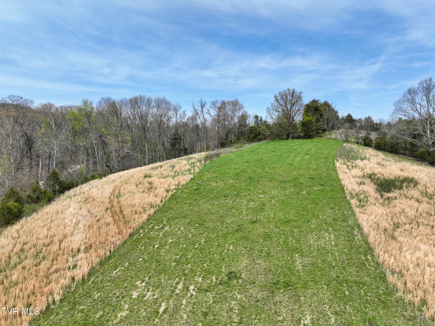 Photo #93: 18685 Horton Highway