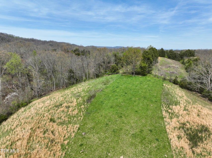 Photo #94: 18685 Horton Highway