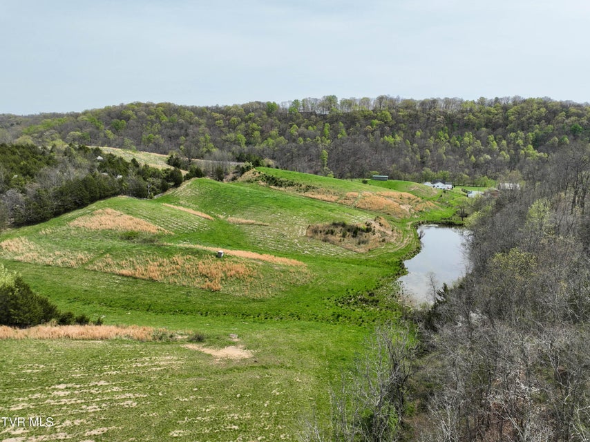 Photo #96: 18685 Horton Highway