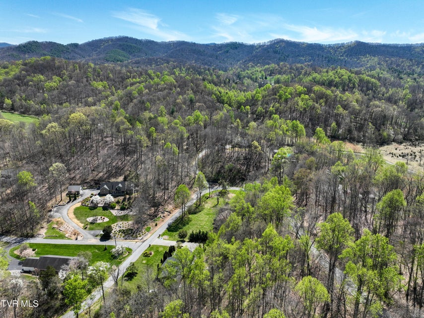 Photo #49: 1320 Suntree Road