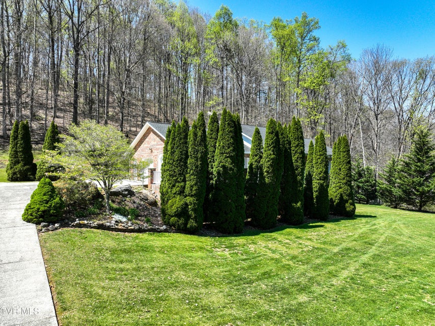 Photo #50: 1320 Suntree Road